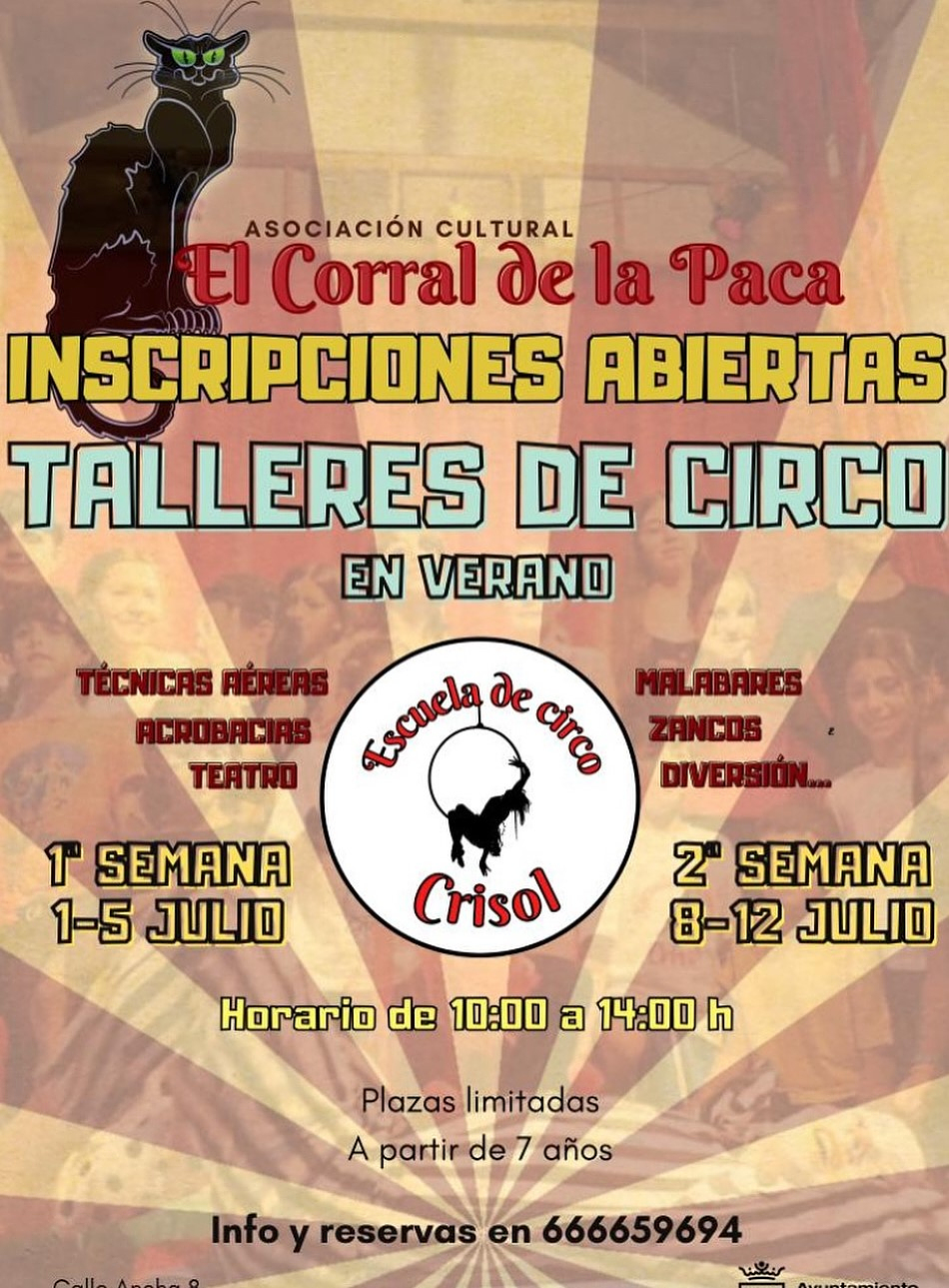 Circus Camps