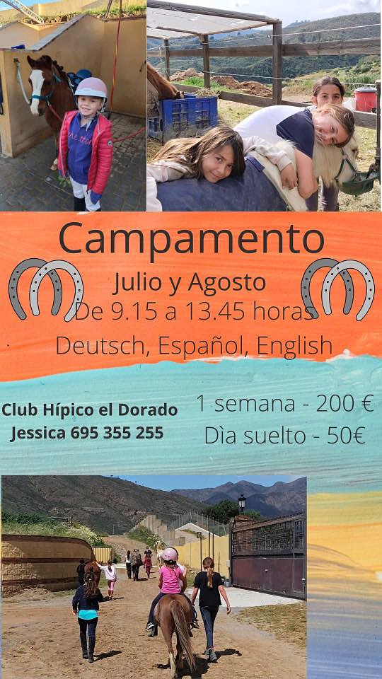 Horse Riding Camp