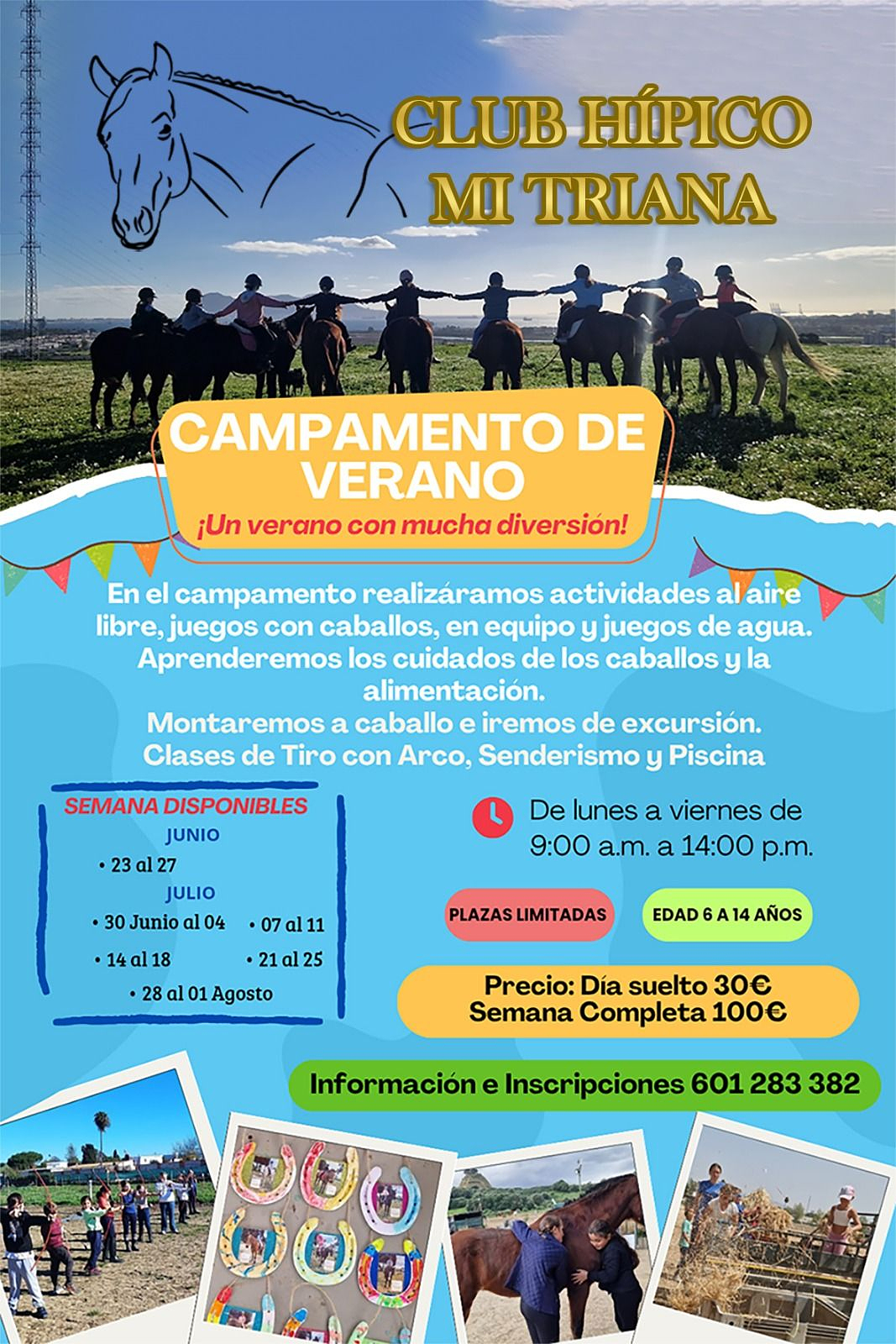Horse Riding Camp