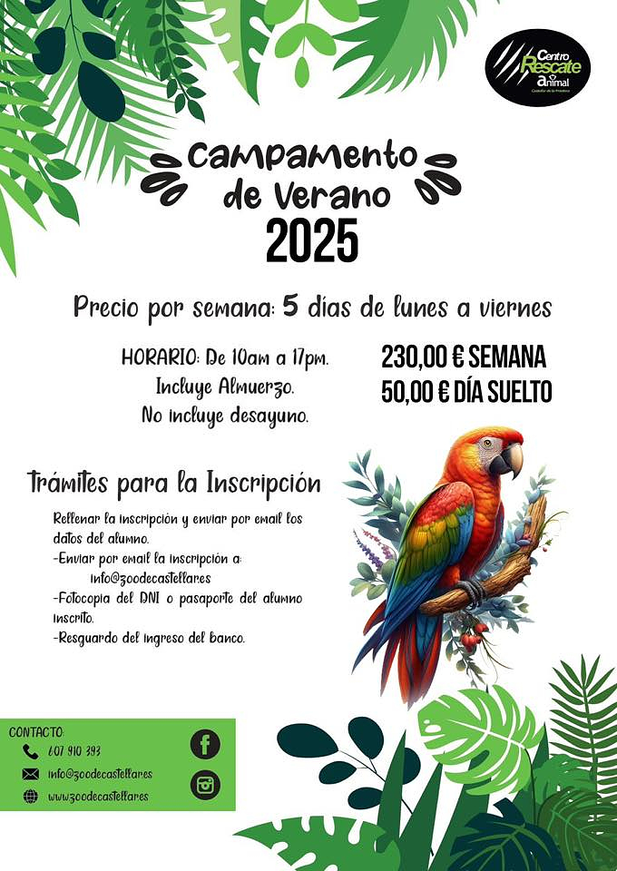 Zoo Explorers Camp
